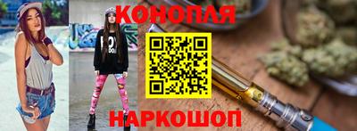 прущие крисы Кингисепп