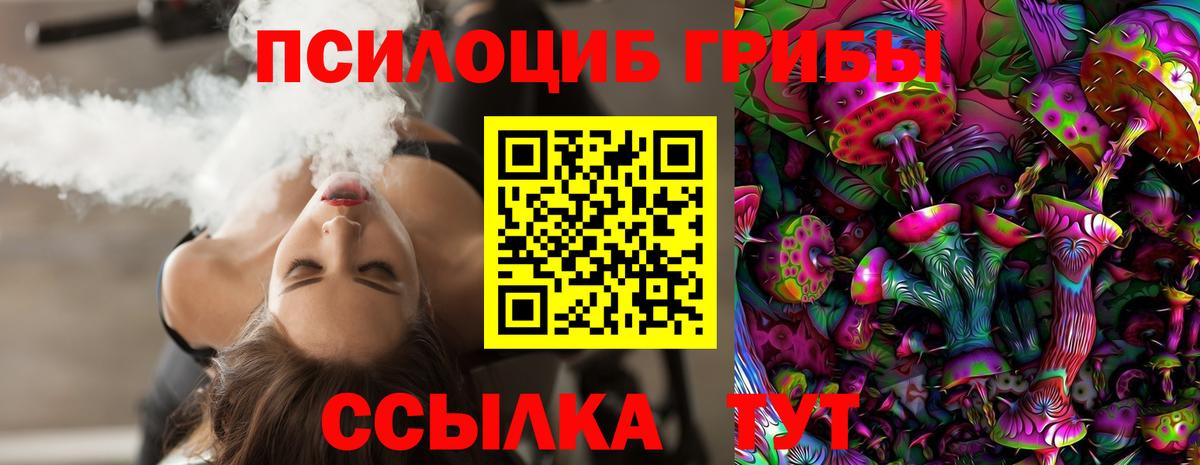 Псилоцибиновые грибы Psilocybine cubensis Лыткарино