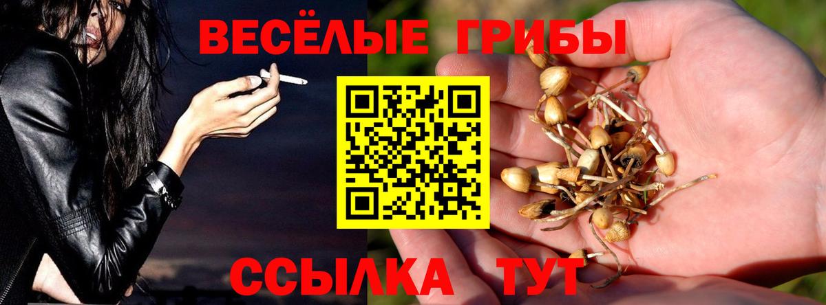 Псилоцибиновые грибы Psilocybine cubensis  Вход с VPN  Лыткарино 