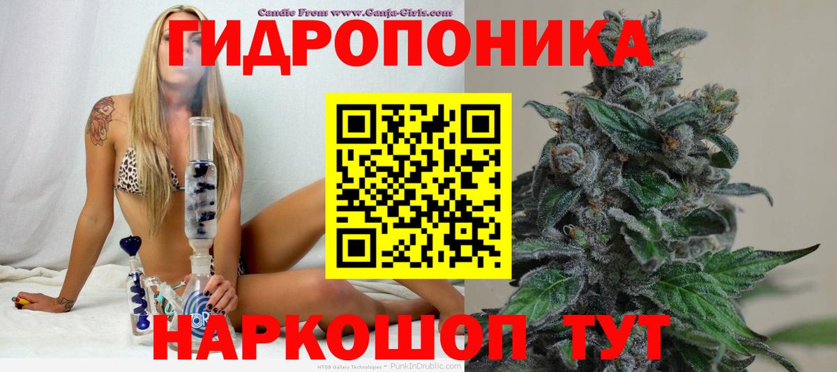Шишки марихуана сатива Лыткарино